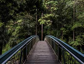 Bridge