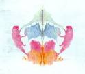 Rorschach Test 