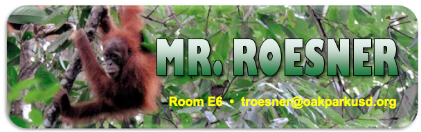 RoesnerLogo 